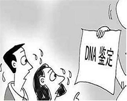 内蒙古区医院怎么做DNA亲子鉴定，内蒙古区正规医院亲子鉴定