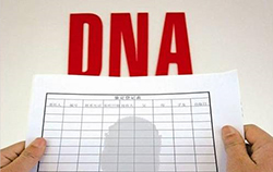 吉林省在哪里DNA鉴定，吉林省做亲子鉴定收费多少